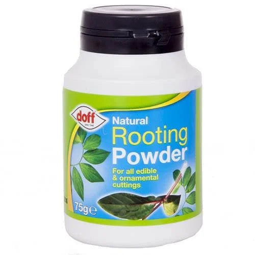 Doff Natural Rooting Powder 24 x 75g