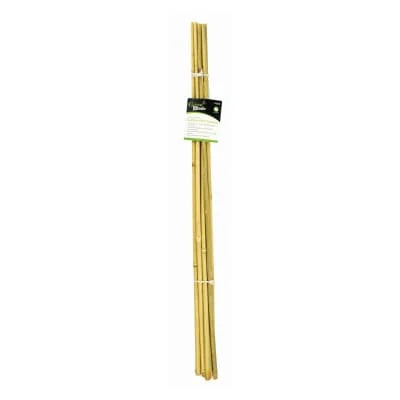 Green Blade Bamboo Plant Support 60cm 10s