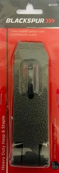 BS HD Hasp & Staple 1