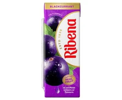 Ribena Black Currant 24 x 250ml