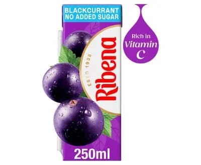 Ribena Black Currant No Added Sugar 24 x 250ml