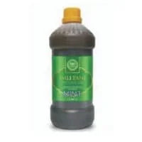 Heera Mint Imli Pani 500ml