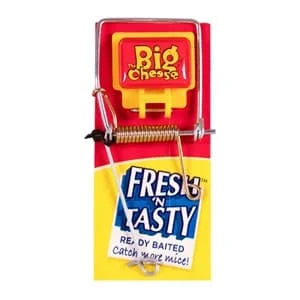 The Big Cheese - Fresh Baited Mouse Trap 30s