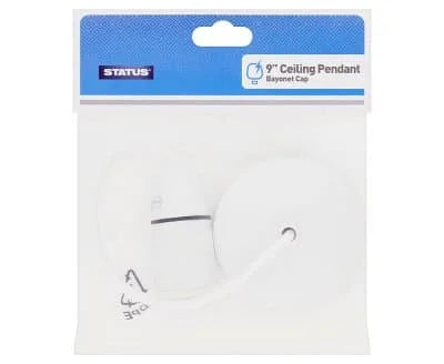 Status 9" Ceiling Pendant 1s