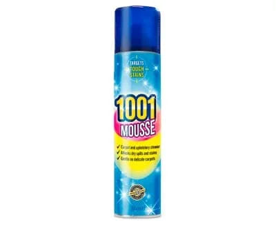 1001 Carpet Mousse 6 x 350ml